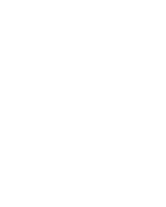 Puntazo
